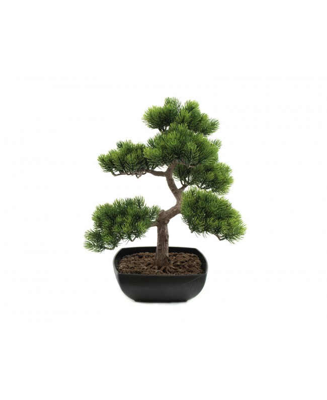 Europalms Bonsai-Pinie, Kunstpflanze, 50cm Blumen & Pflanzen