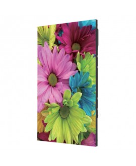 EGO Display EasyPRO-P2.5 LED Wall per interni