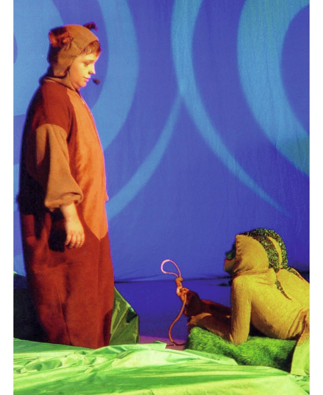 Omnilux PAR-64 240V/1000W GX16d NSP 300h H Double-Side-Capped-Lamps