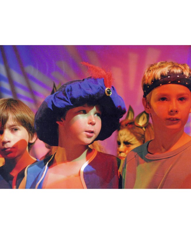 Omnilux PAR-64 240V/1000W GX16d NSP 300h H Double-Side-Capped-Lamps