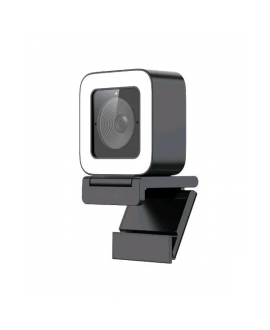 Hikvision Webcam 2MP + Microfono + Led, AUTO Focus Webcams