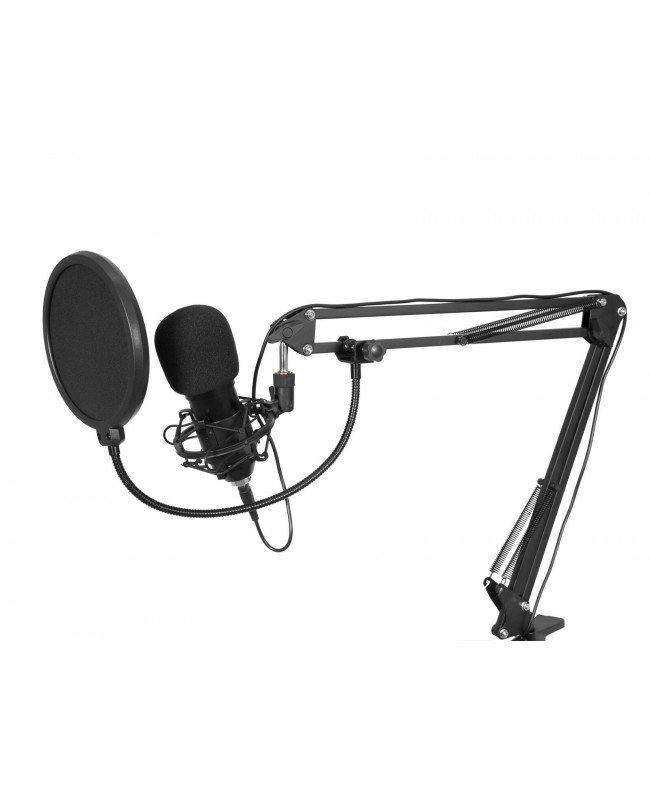 Omnitronic BMS-1C USB Kondensator-Broadcastmikrofonset USB Mikrofone