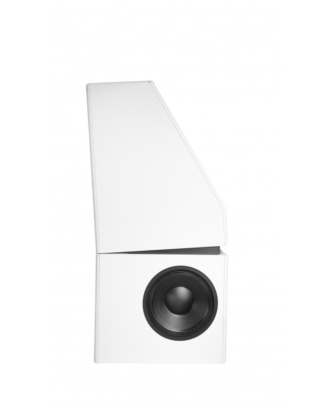 Genelec 8381AW Monitor attivi Nearfield