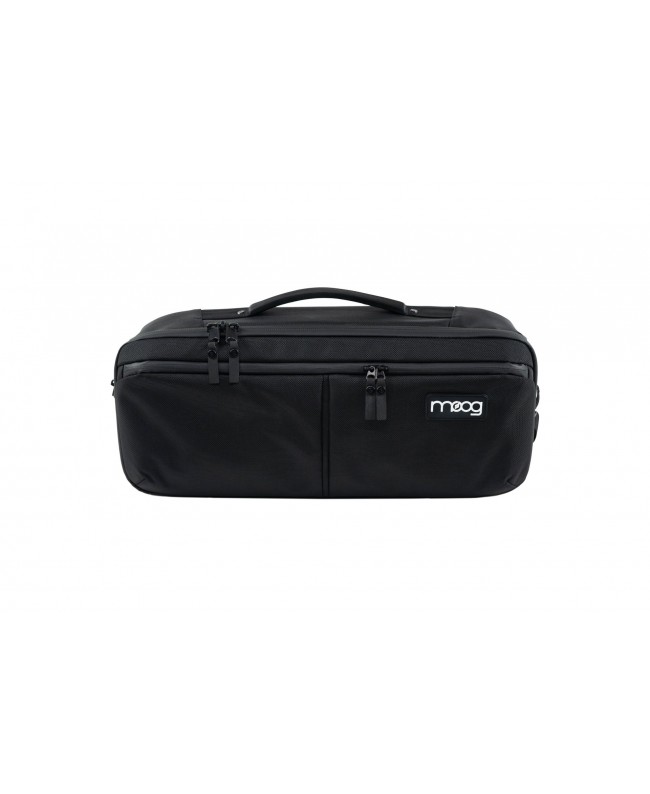 Moog Music Moog Musik Theremin Etherwave SR Gehäuse Taschen