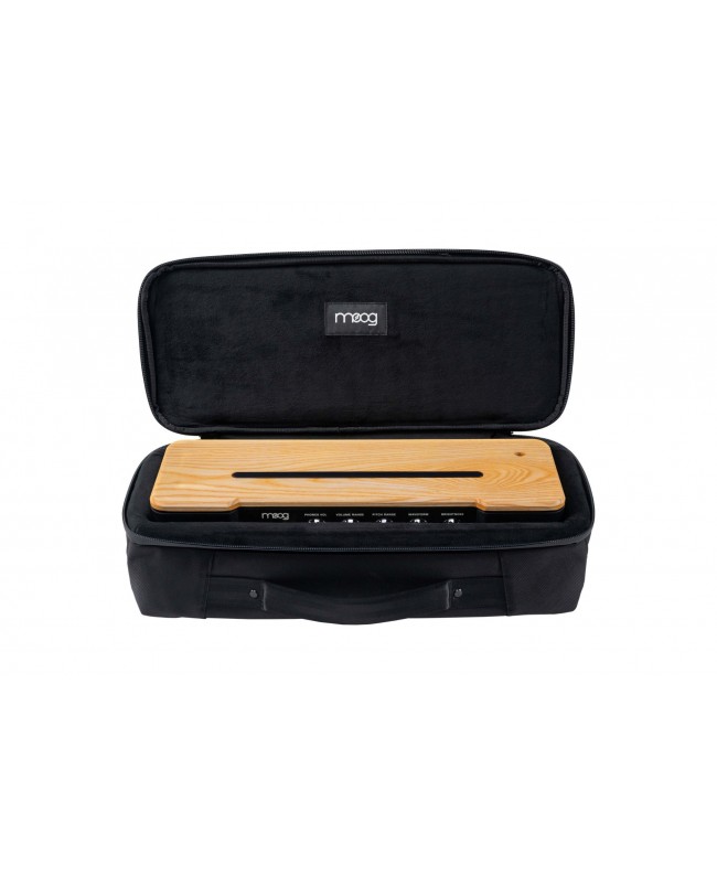 Moog Music Moog Musik Theremin Etherwave SR Gehäuse Taschen