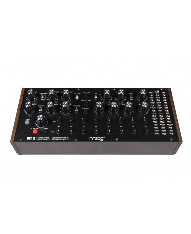 Moog Music DFAM Synthesizers
