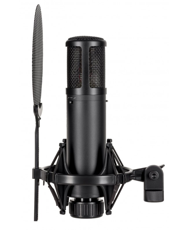 SE Electronics sE 2300 Large Diaphragm Microphones