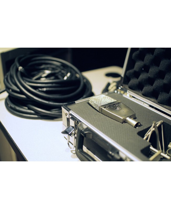 SE Electronics sE T2 Titanium MK2 Pair Large Diaphragm Microphones