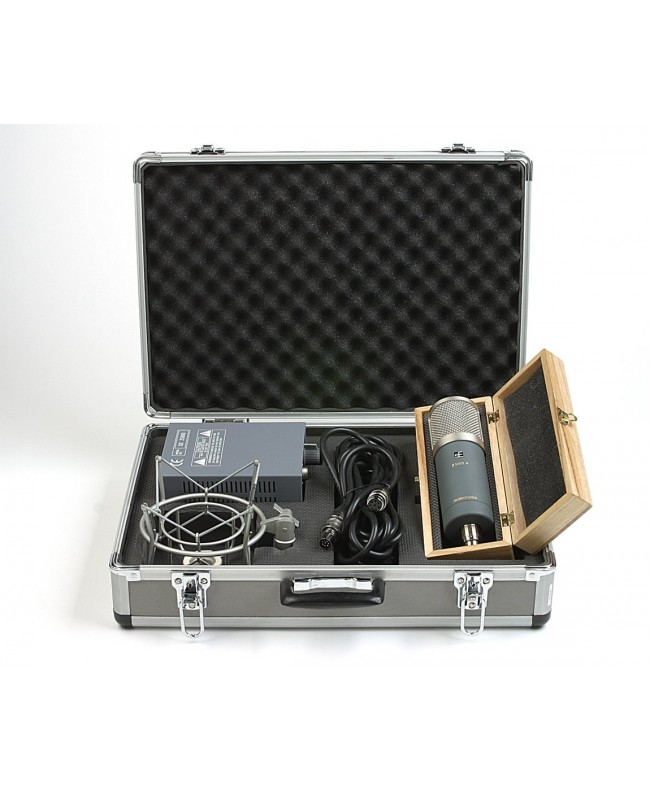 SE Electronics Z5600a II Microfoni a condensatore diaframma largo