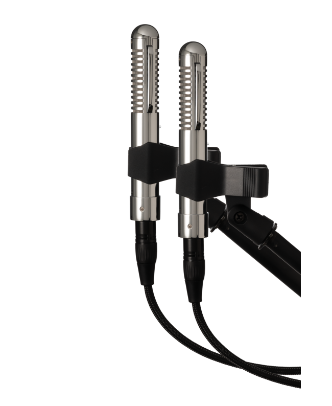 Warm Audio WA-2FT Fen-tone Stereo Pair Instrument Microphones