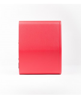 Monkey Banana Turbo 5 Red Monitor attivi Nearfield