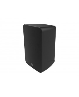Intusonic 6FP80R 6 Zoll 2-Wege Outdoor Lautsprecher schwarz Outdoor-Lautsprecher