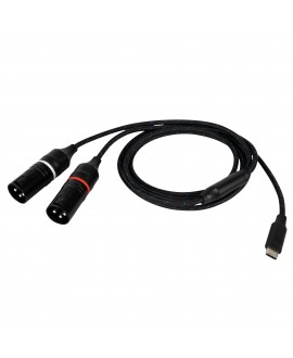 DAP FL115 - USB-C to 2 Galvanically Isolated XLR/M 3P 0.75 m Y Cables