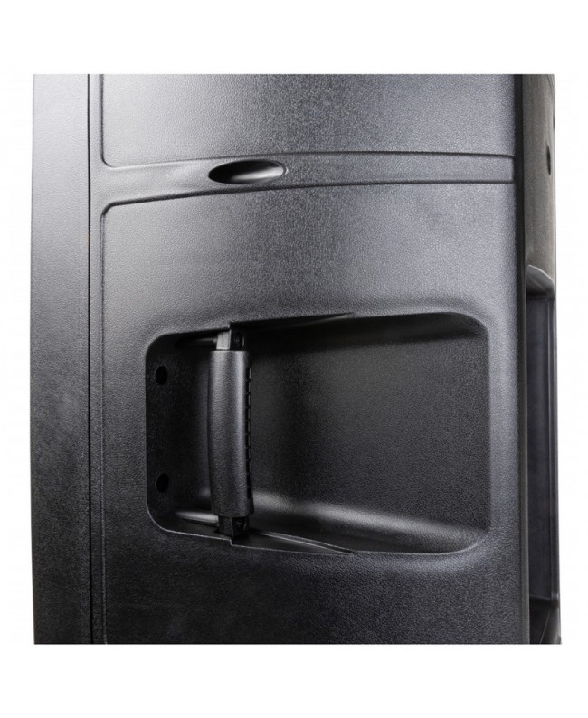 JB Systems IPS-10 Passive Lautsprecher