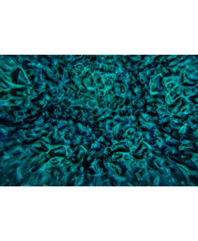 JB Systems DELUSION Startseite