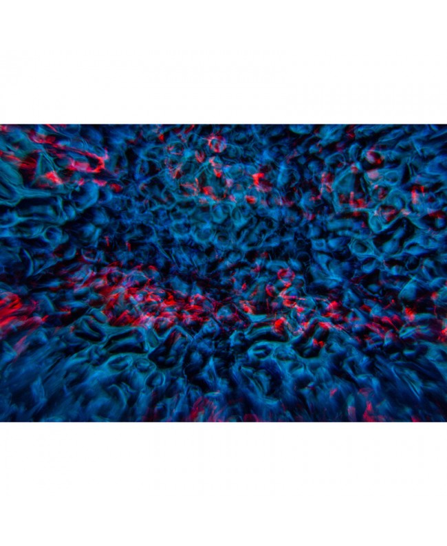 JB Systems DELUSION Startseite