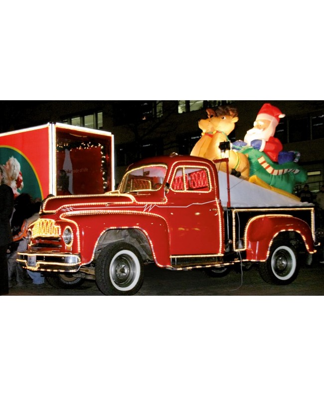 Eurolite RUBBERLIGHT RL1-230V blue 5m Light Decoration