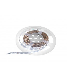 Eurolite LED Strip 300 5m 3528 5700K 12V Sagome a LED