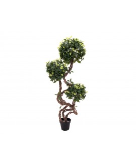 Europalms Ficus spiral trunk, artificial plant, 160cm Fiori & piante
