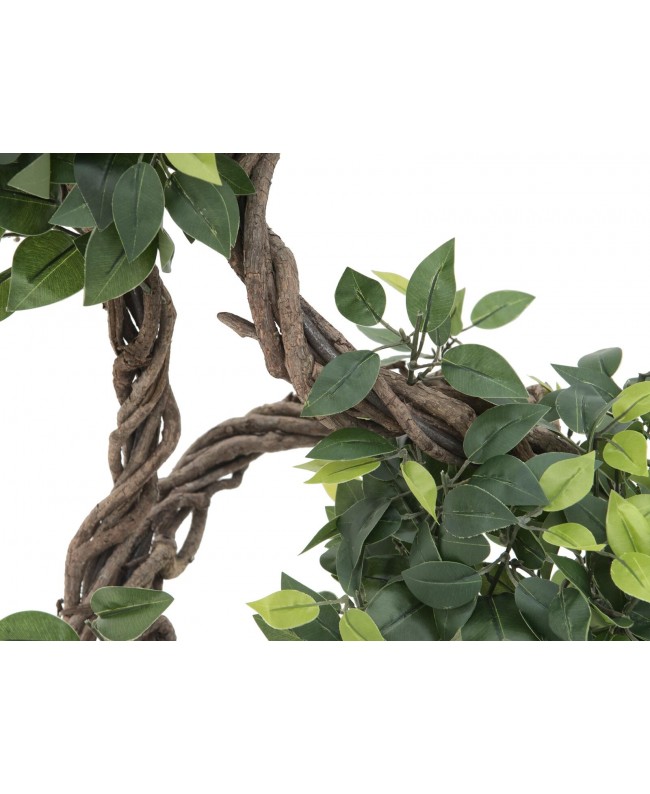 Europalms Ficus spiral trunk, artificial plant, 160cm Fiori & piante
