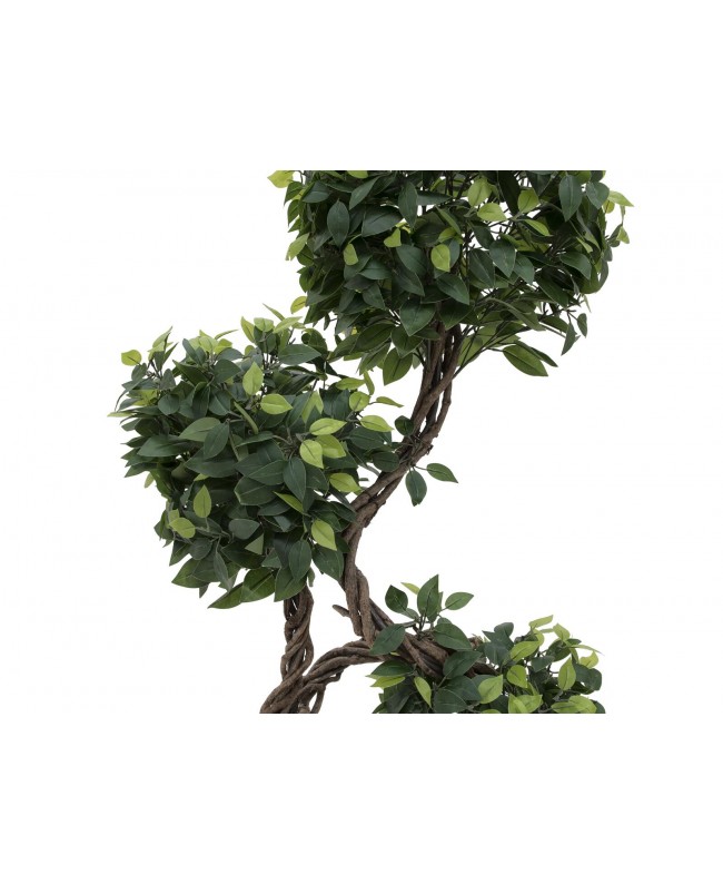 Europalms Ficus Multi Spiralstamm, Kunstpflanze, 160cm Blumen & Pflanzen