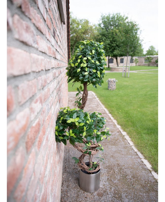 Europalms Ficus Multi Spiralstamm, Kunstpflanze, 160cm Blumen & Pflanzen