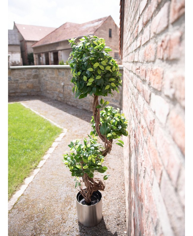 Europalms Ficus spiral trunk, artificial plant, 160cm Fiori & piante