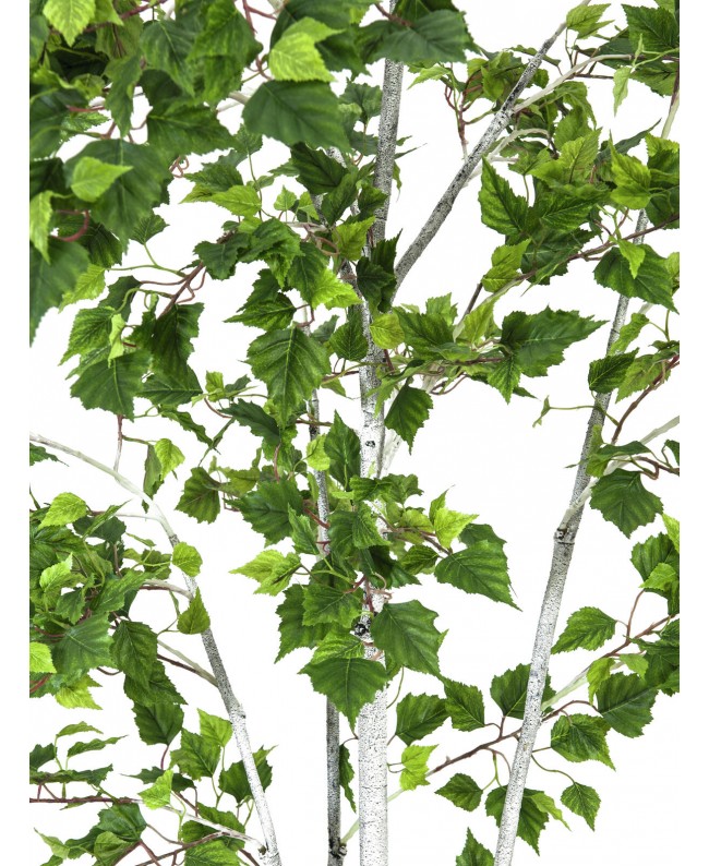 Europalms Birch Tree, artificial plant, 180cm Flowers & Plants