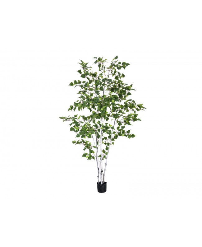 Europalms Birch Tree, artificial plant, 210cm Flowers & Plants