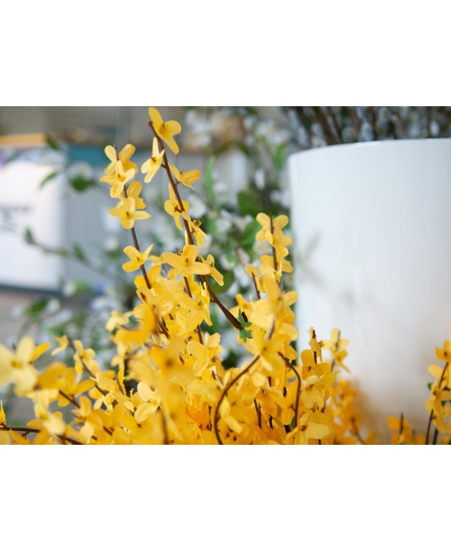 Europalms Forsythia bush, artificial, 60cm Flowers & Plants