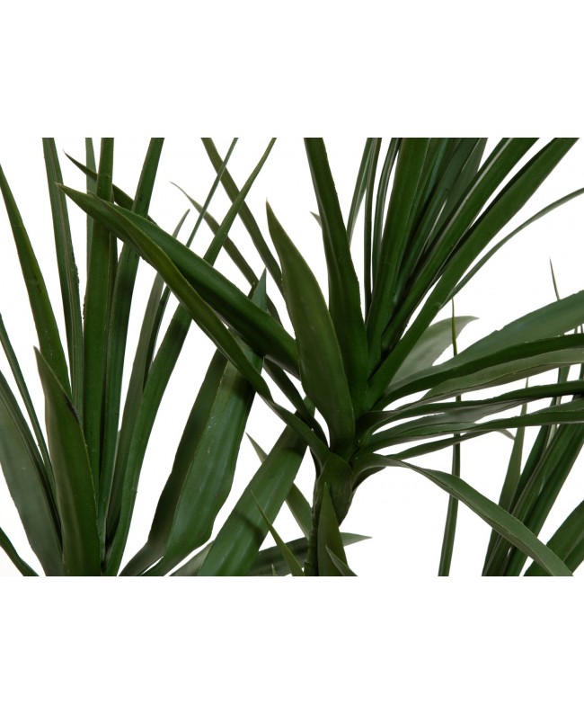 Europalms Dracaena, pianta artificiale, verde, 170 cm Fiori & piante