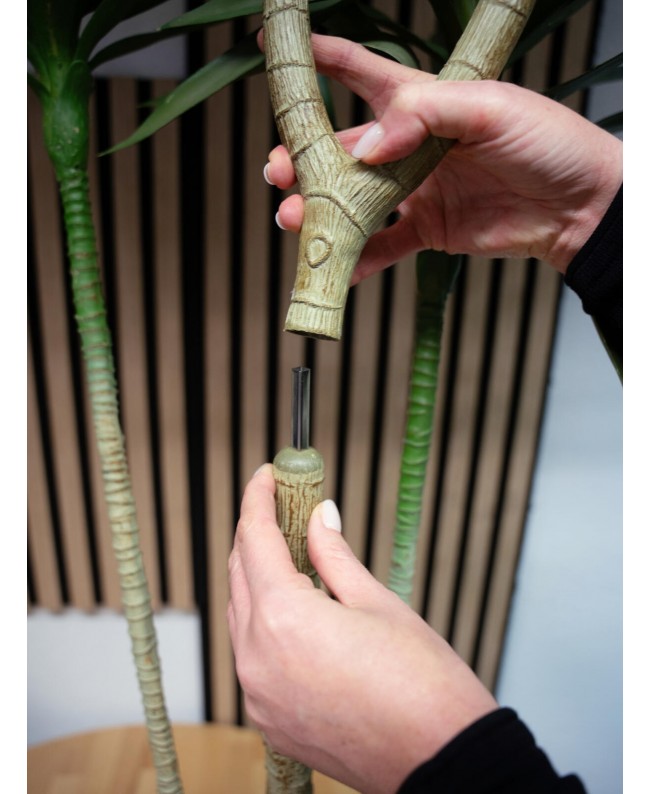 Europalms Dracaena, artificial plant, green, 170cm Flowers & Plants