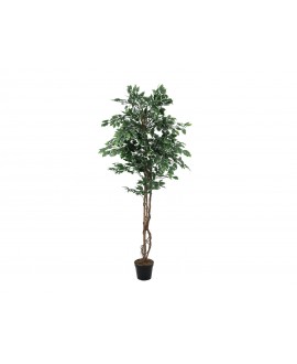 Europalms Variegated Ficus, artificial plant, 180cm Flowers & Plants