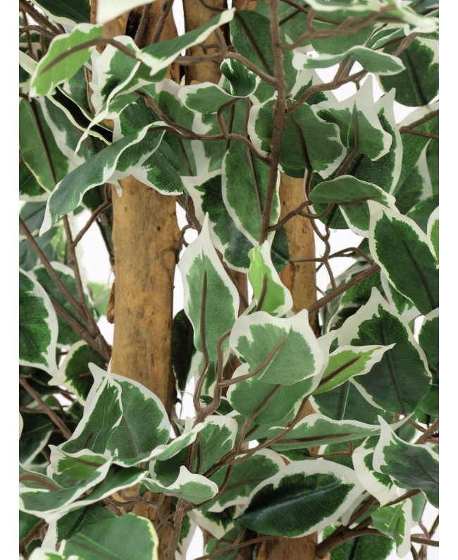 Europalms Silberficus-Benjamini, Kunstpflanze, 180cm Blumen & Pflanzen