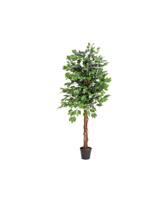 Europalms Ficus Tree Multi Trunk, artificial plant, 150cm Flowers & Plants