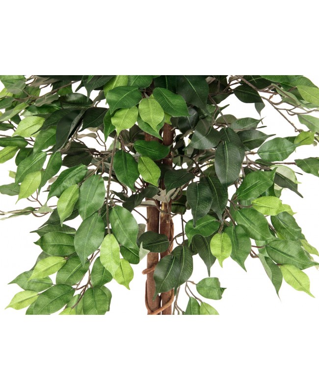 Europalms Ficus Tree Multi Trunk, artificial plant, 150cm Fiori & piante