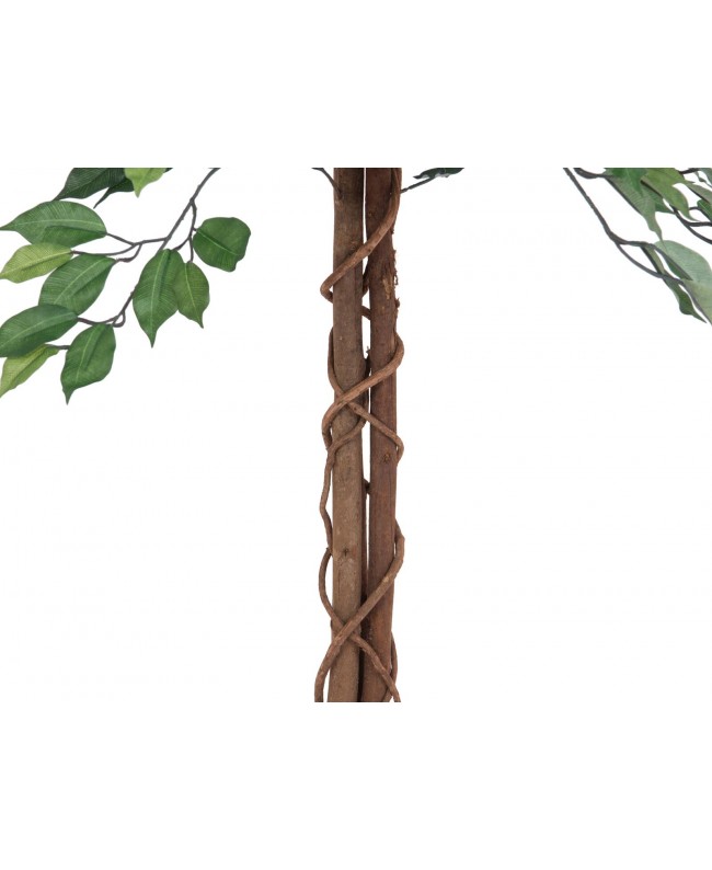 Europalms Ficus Tree Multi Trunk, artificial plant, 150cm Fiori & piante