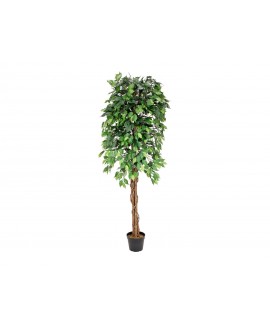 Europalms Ficus Tree Multi Trunk, artificial plant, 180cm Flowers & Plants