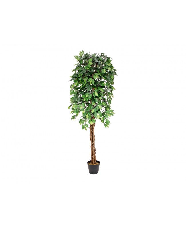 Europalms Ficus-Benjamini Multi-Stamm, Kunstpflanze, 180cm Blumen & Pflanzen