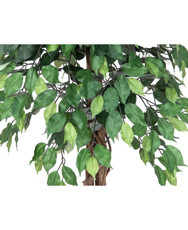 Europalms Ficus-Benjamini Multi-Stamm, Kunstpflanze, 180cm Blumen & Pflanzen