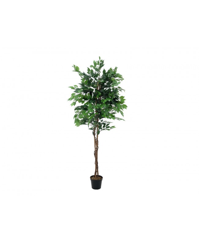 Europalms Ficus Tree Multi Trunk, artificial plant, 210cm Flowers & Plants
