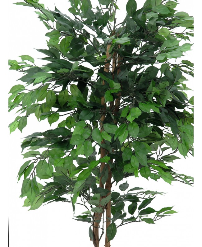 Europalms Ficus Tree Multi Trunk, artificial plant, 210cm Flowers & Plants