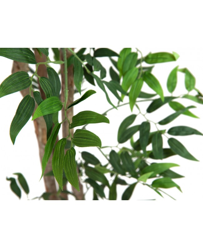 Europalms Ficus Longifolia, Kunstpflanze, 165cm Blumen & Pflanzen