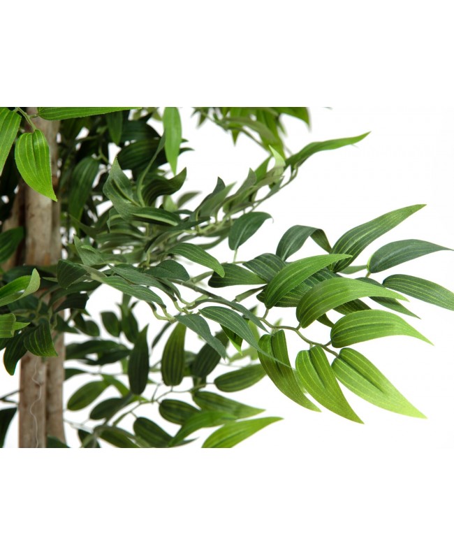 Europalms Ficus longifolia, artificial plant, 165cm Fiori & piante