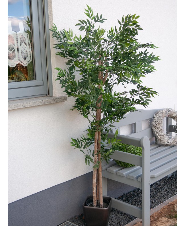 Europalms Ficus longifolia, artificial plant, 165cm Flowers & Plants