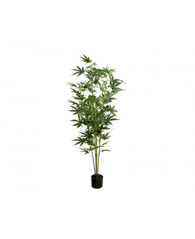 Europalms Hanfpflanze, Kunstpflanze, 150cm Blumen & Pflanzen