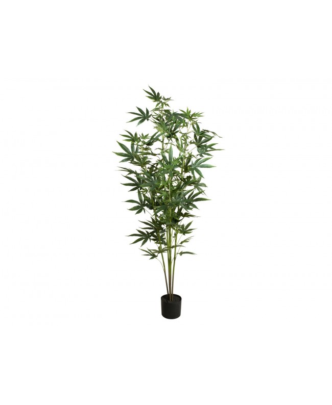 Europalms Hanfpflanze, Kunstpflanze, 150cm Blumen & Pflanzen
