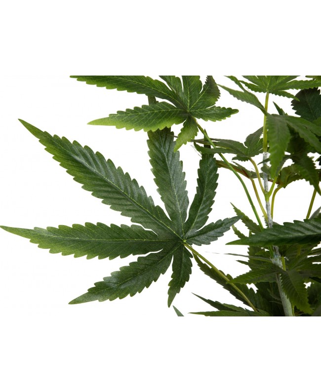 Europalms Cannabis-plant, artificial plant, 150cm Fiori & piante