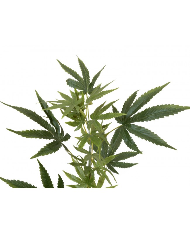 Europalms Cannabis-spra, artificial plant, 90cm Fiori & piante