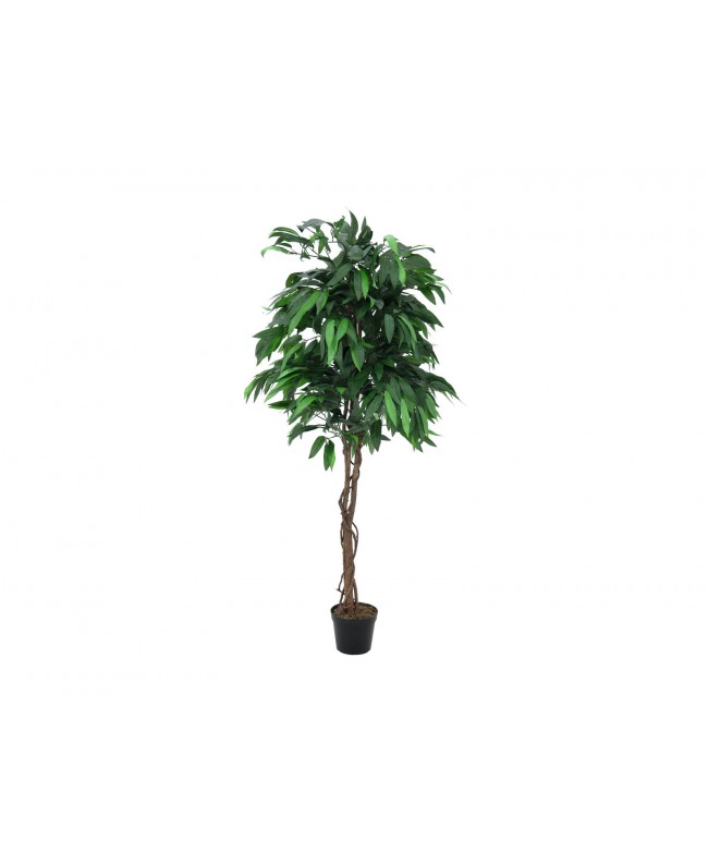 Europalms Jungle tree Mango, artificial plant, 180cm Flowers & Plants